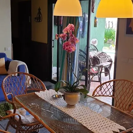 Cateyma Icod إيكود ذي لوس فينوس